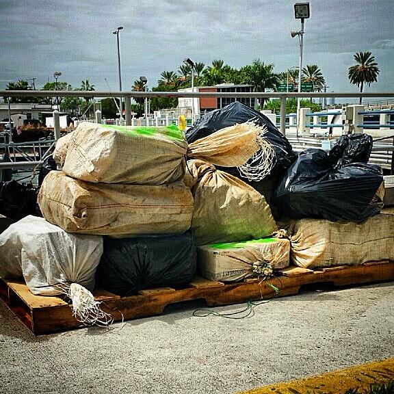 Augie Conte tweet media