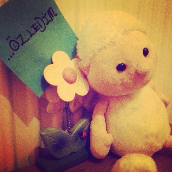 Küçük bir kalp acısı