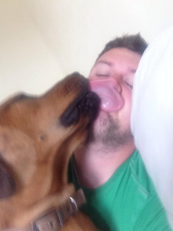 dodgethepower's tweet photo. @manchdogs my Benben who came from Cheshire DH http://t.co/V09gbqfOXs