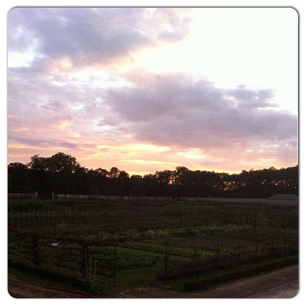 J-1 avant le festival plastique danse flore ! RDV dès 18h au potager du roi! #festivalpdf