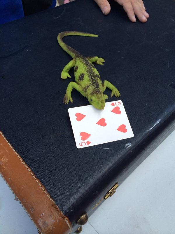 Magical Paul's lizard found my card at the pop up gallery at stop 16