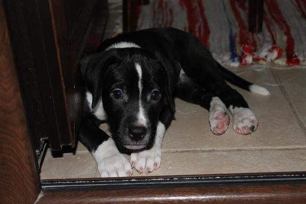 En güzel hediye minicik oğluşumuz büyüyor tequila