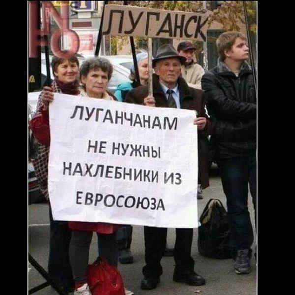 Жители Донбасса попали в ловушку российской войны, гуманитарные последствия катастрофичны, - Туск по итогам визита в Станицу Луганскую - Цензор.НЕТ 4963
