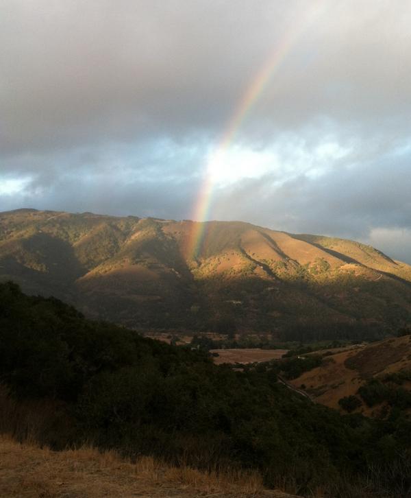 VeggiesMadeEasy's tweet image. The morning after some much needed rain in the Salinas Valley that we're all very thankful for!