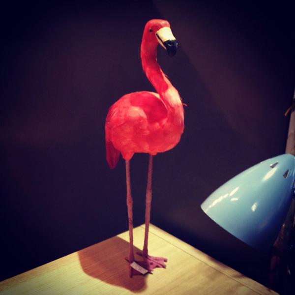 Awesome day at #tentlondon14 #LDF14  #designjunction #birdspotting #birdsofafeather #sheep