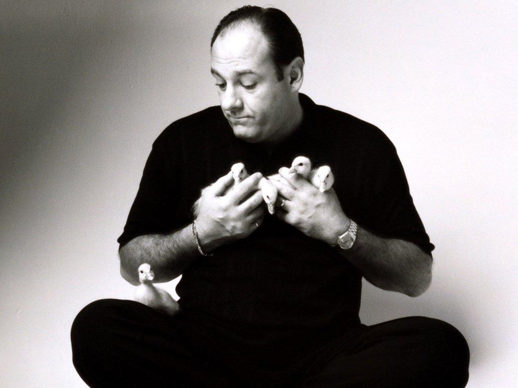 Happy birthday, James Gandolfini. You are greatly missed. 