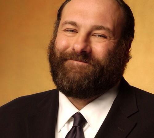 Happy birthday James Gandolfini. We all miss u dearly!!! 