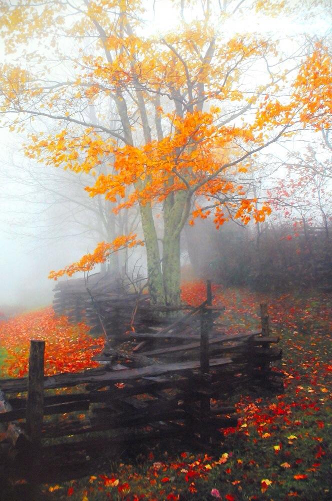 EL OTOÑO SE ACERCA CON MUY POCO RUIDO...* - Página 2 Bx28R9eCcAANKt5