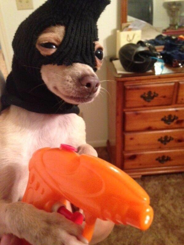 ItsGirllCode's tweet photo. When someone hits on bae http://t.co/vOgF62F4rv