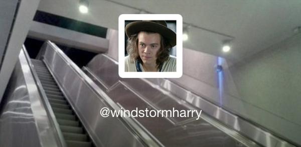 sunshinelayouts's tweet photo. harry layout http://t.co/MkDF67vm54