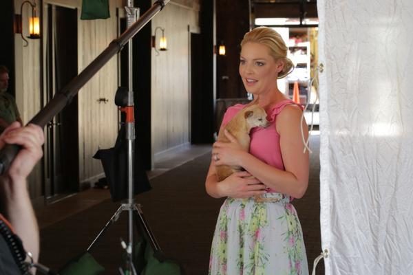 KatieHeigl's tweet photo. #TBT to a great day on set with @orapup making this video to help abandoned &amp; abused animals: https://t.co/tekUA8Byeu http://t.co/ACWCOAQqPj