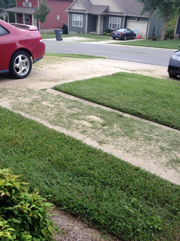 squeaks_weeks's tweet photo. Today our yard was mowed, and the guy decided to turn our driveway into an extension of the yard. #yaycreativity π http://t.co/mwPRnOCZER