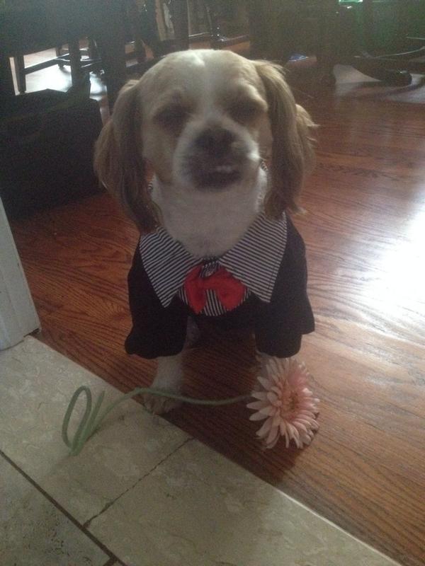 _coots's tweet photo. This outfit is too much. http://t.co/LSkkCOnnQH