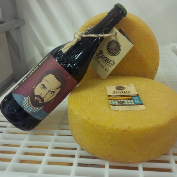 Lots of Beau's Abbey Style cheese nearly ready for octoberfest! <a href="/FarmBoy/">Farm Boy</a> @beausallnatural