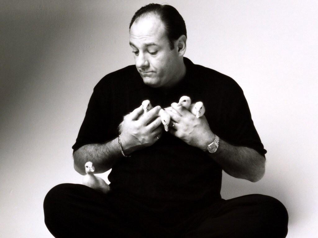 Happy Birthday James Gandolfini a generous, kind soul and a regular. You are truely missed. 