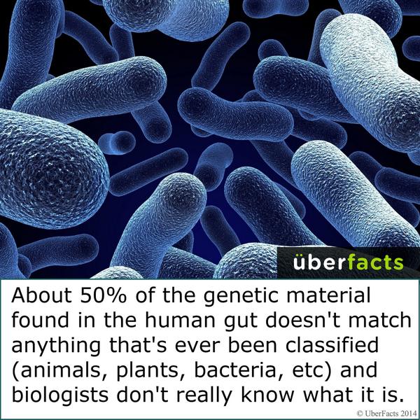 Scientists don't really know what's inside of us...