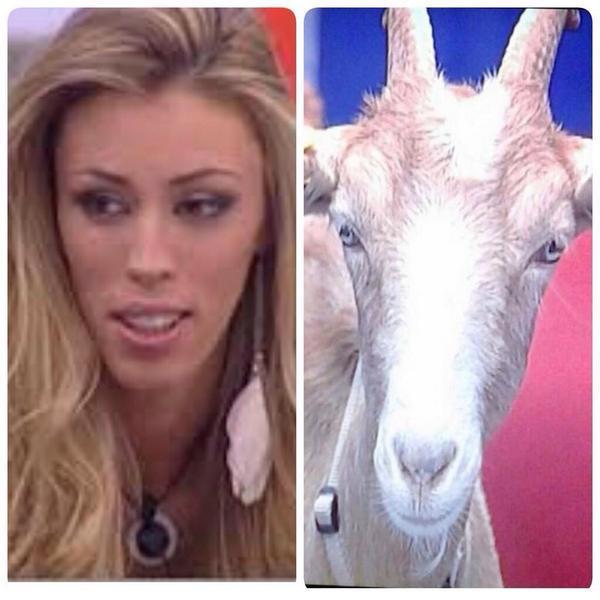 TodoSalseos's tweet photo. No es justo que una concursante repita dos años seguidos #gala1gh15 http://t.co/qyDQz782ph #Jajajaja