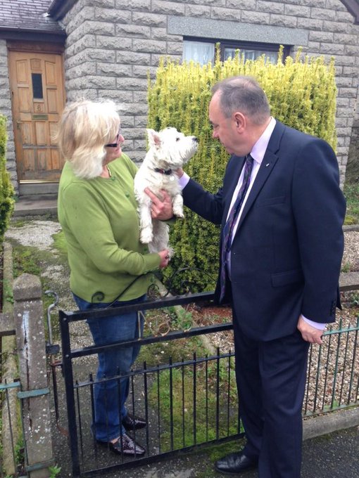 View image on Twitter