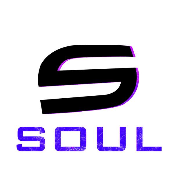 DesignsSoul's tweet image. Quick Logo!