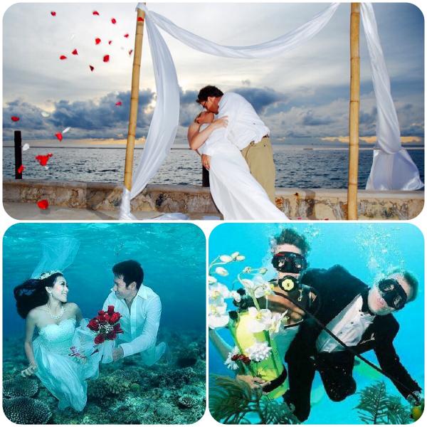 "<a href="/lfcancun/">Laura Fernandez</a>: #Cozumel destino  #TurismodeBodas fuera de lo común <a href="/VisitCozumel/">Isla Cozumel</a> <a href="/RivieraMaya/">Riviera Maya</a> <a href="/CaribeMexico/">CARIBE.MX</a> "