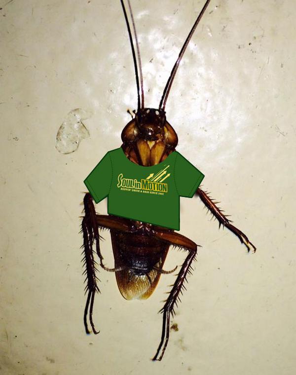 soulinmotiondnb's tweet image. This little guy got his #SIM12 design T-Shirt. Get yours now! spinzcycle.com/storefront/?mo… #torontodnb #dnb