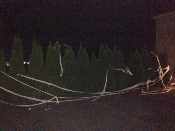 ERTPwar's tweet image. #juniors @MorganAmelia123