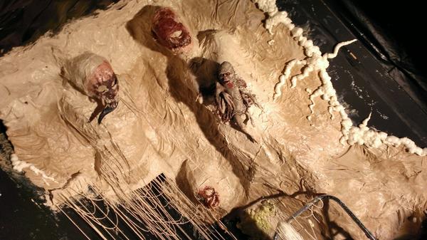 ZombieFacePlant's tweet photo. http://t.co/SnNTGemI2l