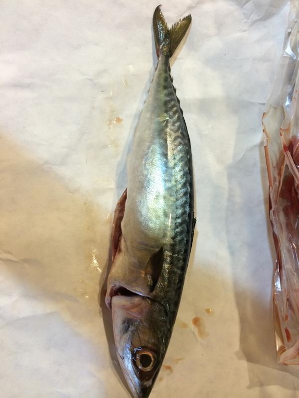 FairShareCSF's tweet image. "Time for a smackerel of something mackerel" (what poohbear would've said today)