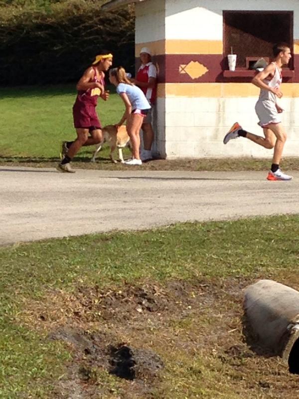 CCRaiderSports's tweet photo. #raiderrunner Iram Capistram was in 2nd  4a short time as he pulled away to claim 1stplace in today's meet. http://t.co/duNMY01LWL