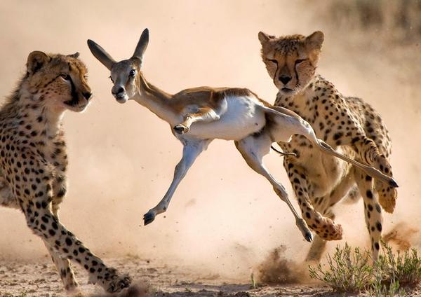 suzon babu tweet media