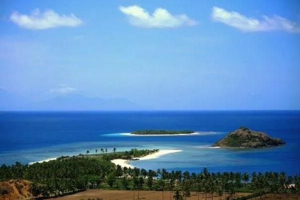 IsZimmer's tweet image. 