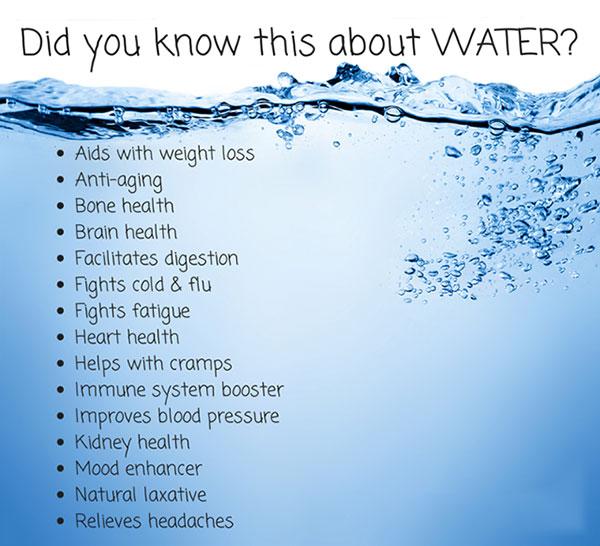 Did you know this about #water?

#Health #Tips