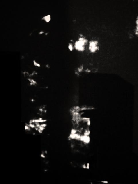 RekaJellema's tweet photo. #rekapics #photography #violins #abstract #art @Louis_Hawkins @ReinfriedMarass @SSVphotographer @BrendanBonsack http://t.co/kJOR6GvimJ