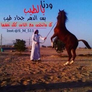 aref  (@arefas2) on Twitter photo 