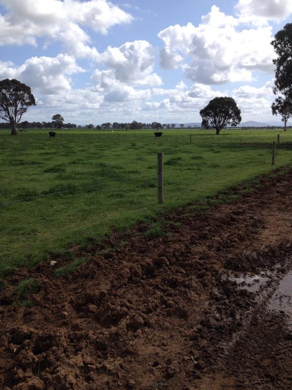 Alissakenn's tweet photo. Just another day in paradise today. Although very windy paradise. As well as plenty rain and sunshine. Perfect spring http://t.co/B1JnjwbQeQ