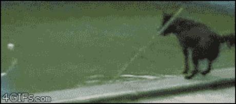 yamaluff's tweet photo. Oh. Uhm. That works too... http://t.co/U8BbXzUiYn via @9GAG http://t.co/r5IFO9gedy