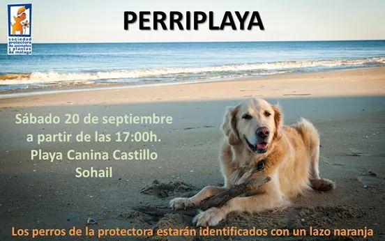 protemalaga's tweet photo. Mañana estaremos en la playa de perros de Fuengirola con algunos de nuestros peludos!! Ven a conocerlos http://t.co/Js4mQtR8pE