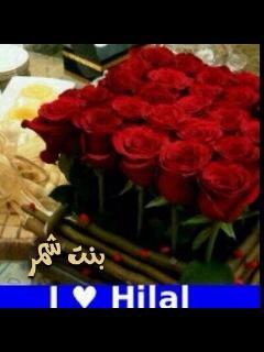 brakh641 tweet picture