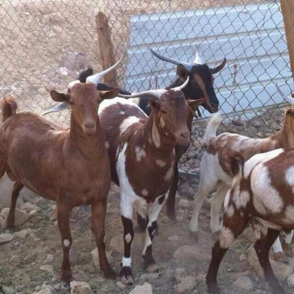 rame67097's tweet image. 