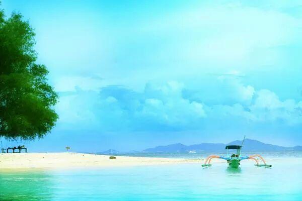 IsZimmer's tweet image. 