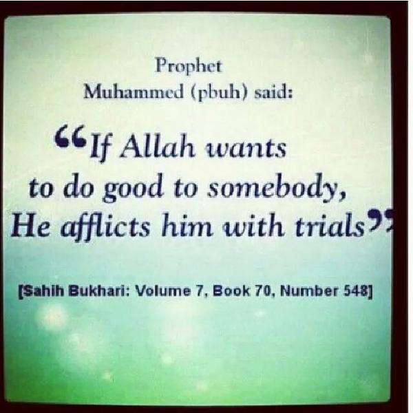 Adam Bunkau tweet media