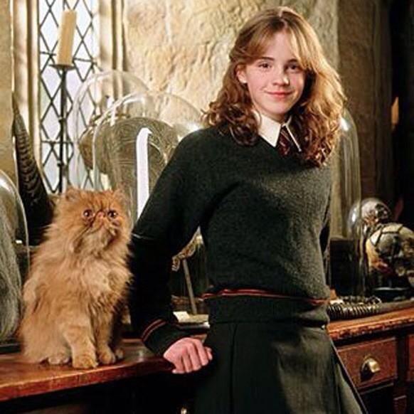       19       "               "
Happy birthday
"                     "
(Hermione Granger)                     