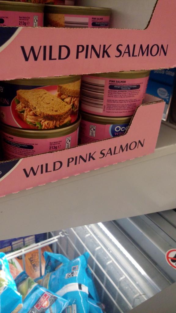JoeDooleyD's tweet photo. Well you would be rather annoyed if you'd been sliced up and put in a tin! #wild #absolutelylivid @100StringSingh http://t.co/wwRL4UPYeq
