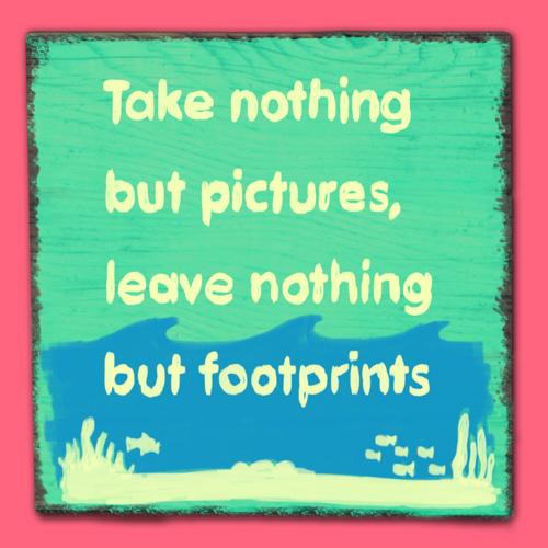 Waste_Watch's tweet image. Time for another fave quote from our Jen ahead of waste less, live more week. Just a few days to go! #wllm14