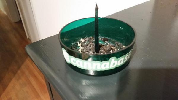 AmeriCanadians's tweet photo. Putting tradeshow swag 2 work @Cannabase_io @IntlCBC  @tilray  @liftmj @MedReleafCanada #DotBong #cannabis #cannabase http://t.co/jCxLPzY3FU