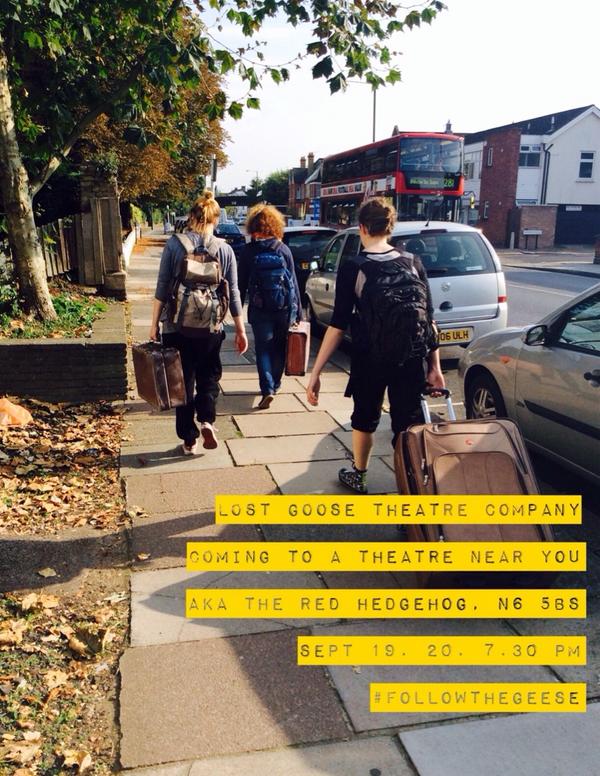 LostGooseTheatre Co. tweet media