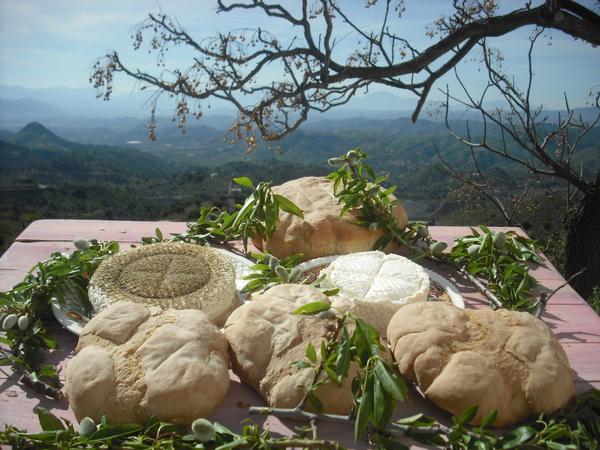 DIYNF's tweet photo. Some of #DIYNF´s homemade bread and cheese. Support our #kickstarter on #naturalfood, eating & cooking.#crowdfunding http://t.co/hRE5iLxMFd