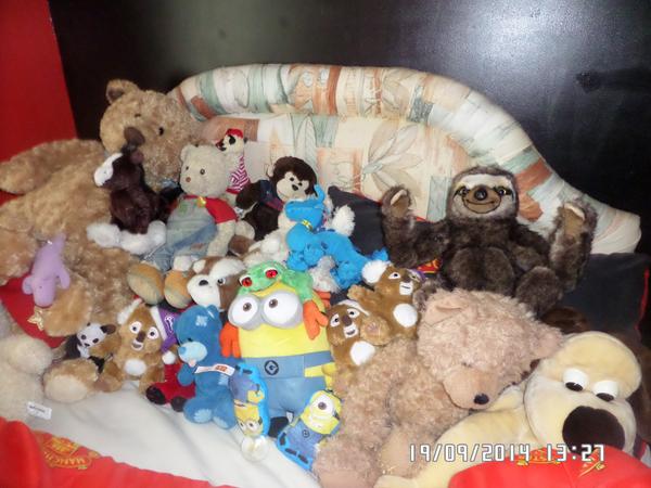 Tracezeus's tweet photo. @sofaworksUK #LittleNeal has arrived and settled in well, can you spot him? http://t.co/Ngu0FyTsl3
