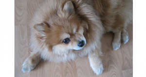 Floor Data tweet media