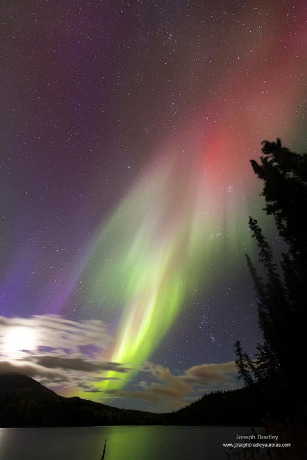 ObservingSpace's tweet photo. Northern lights &amp; the #moon over #Whitehorse, #Yukon, #Canada 
Credit: J. Bradley http://t.co/MEXB8rla5H #aurora http://t.co/eNDNdhjM3V